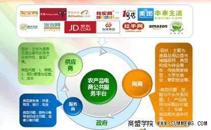 遂昌模式 電子商務(wù)服務(wù)如何助力農(nóng)產(chǎn)品電商平臺成功落地